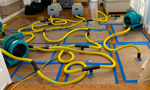 Professional Burst Pipe Water Damage technician working in Franklin Lakes, NJ